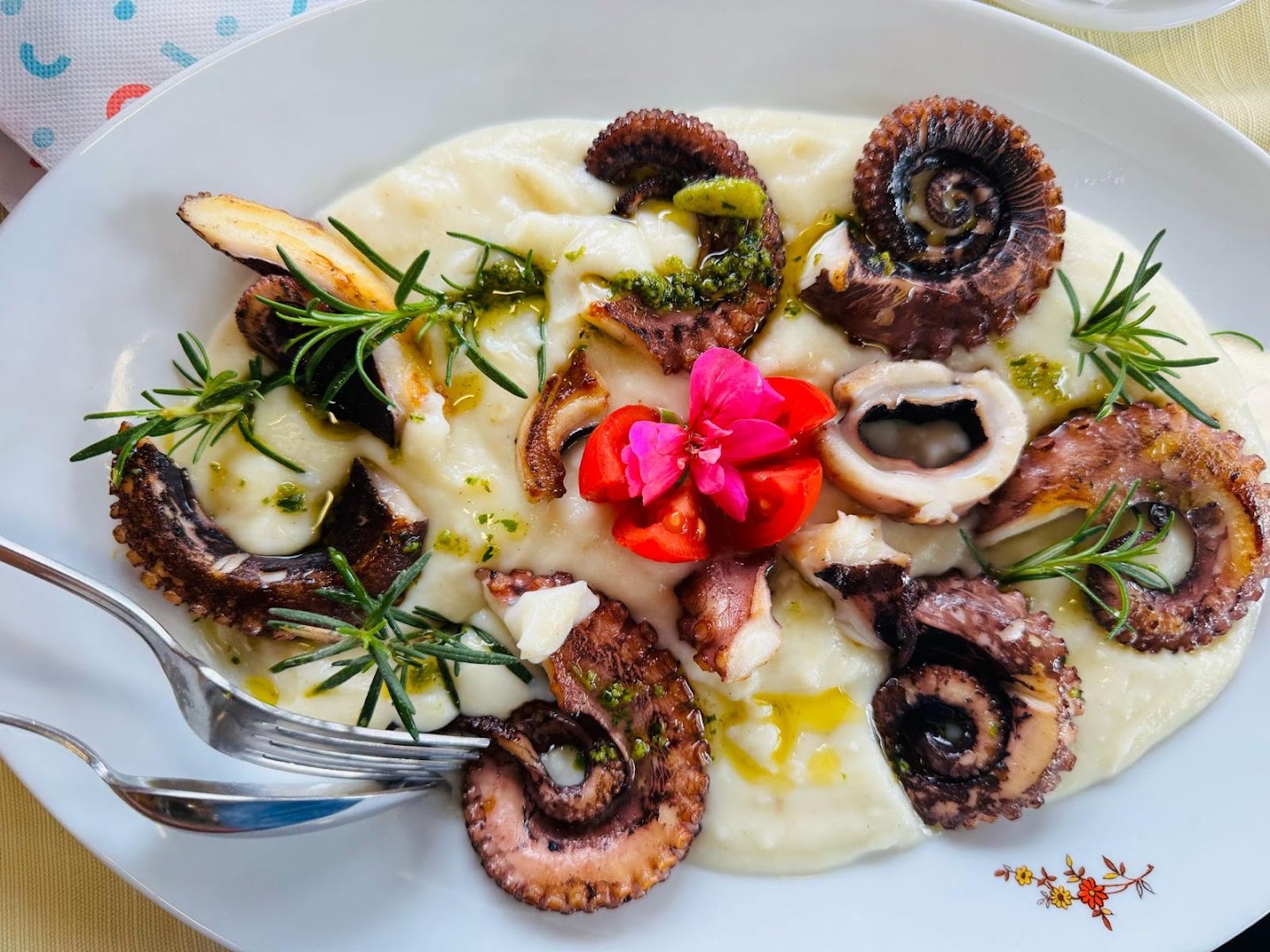 AJO A UMBE COSIMO di Flore Marlisa