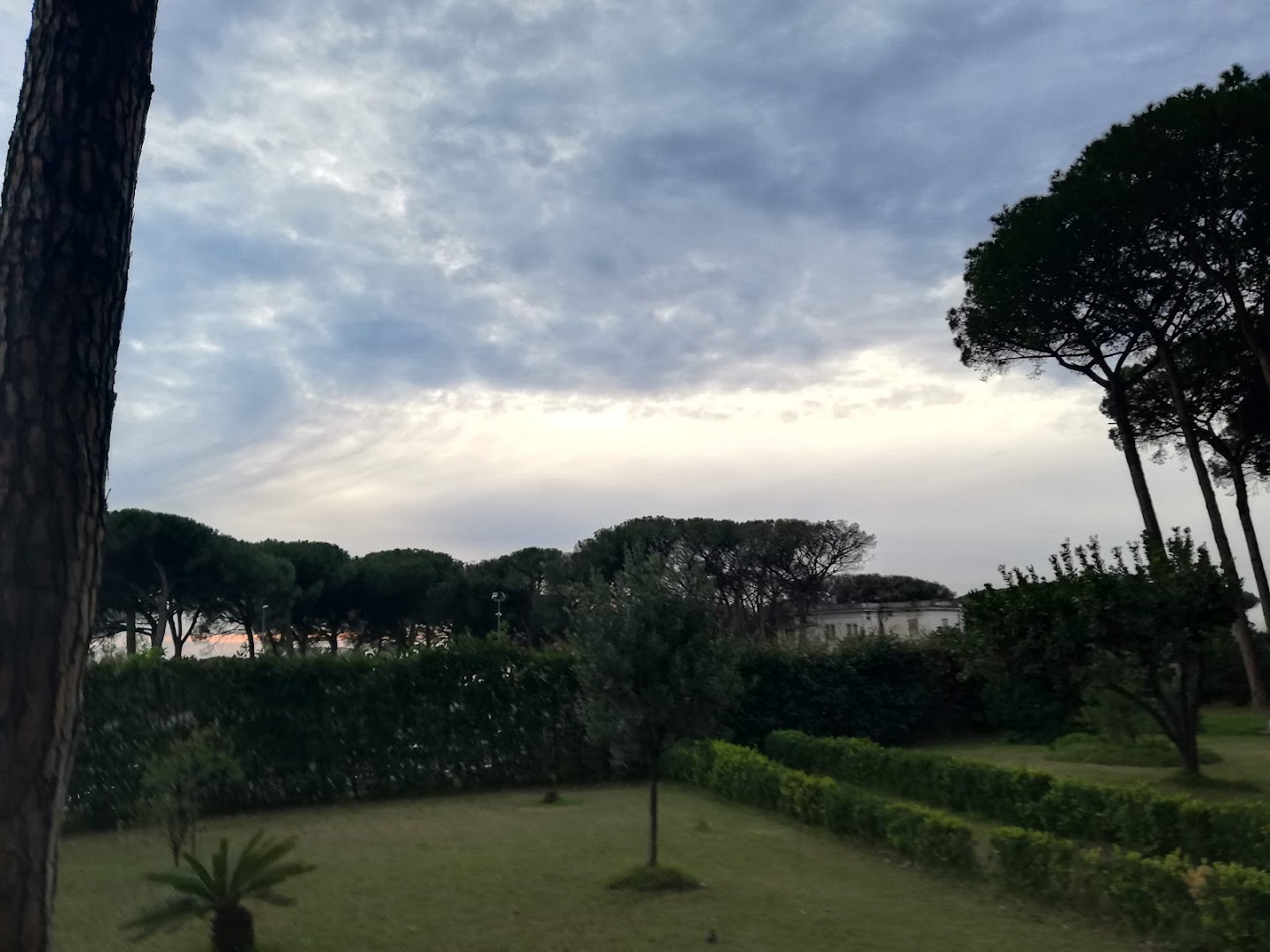 Al Corbezzolo