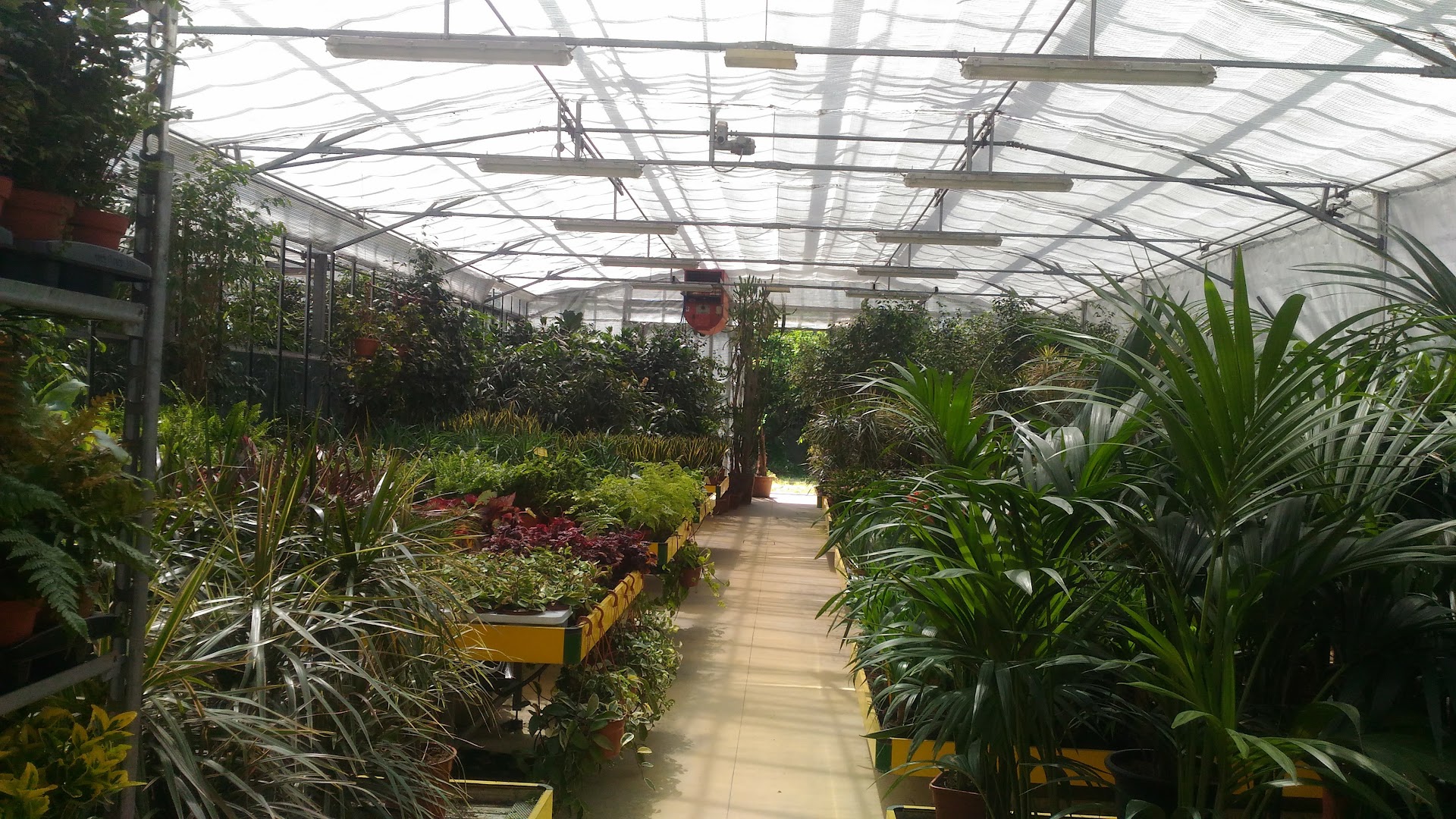 Al Parco Verde