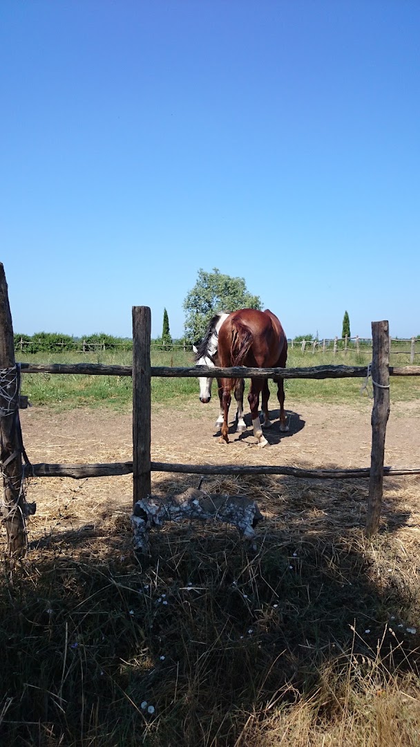 Al Ristoro Di Campalto, Pisa