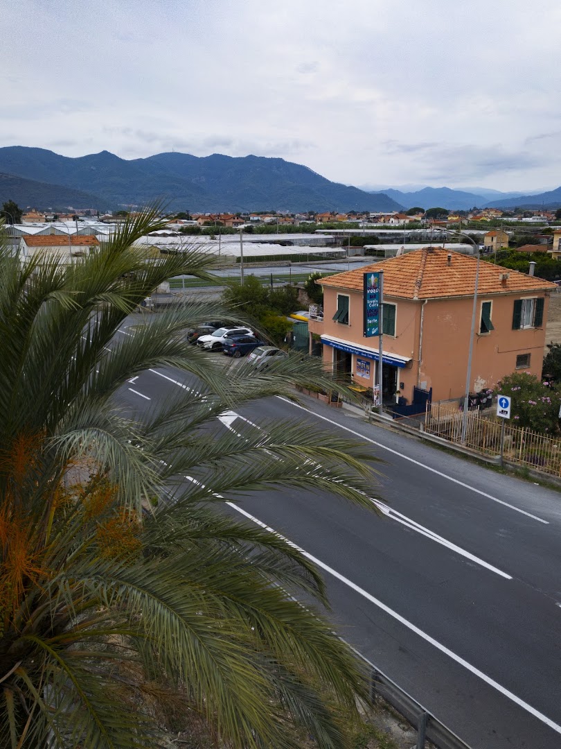 Albenga in tavola - On the Road, Albenga