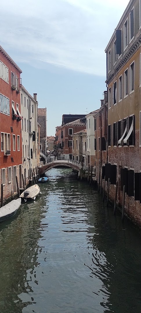 Ali Baba Pizza ,Vegan &Halal food a VENEZIA