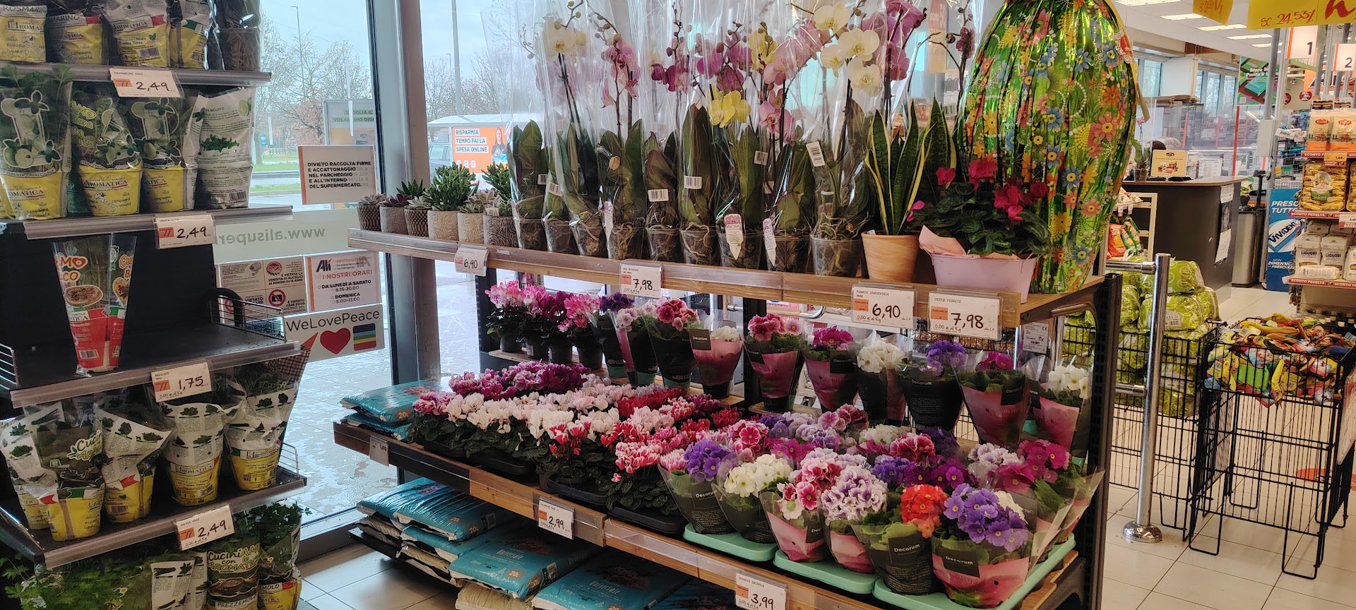 Alì supermercati - Pontevigodarzere, Padova