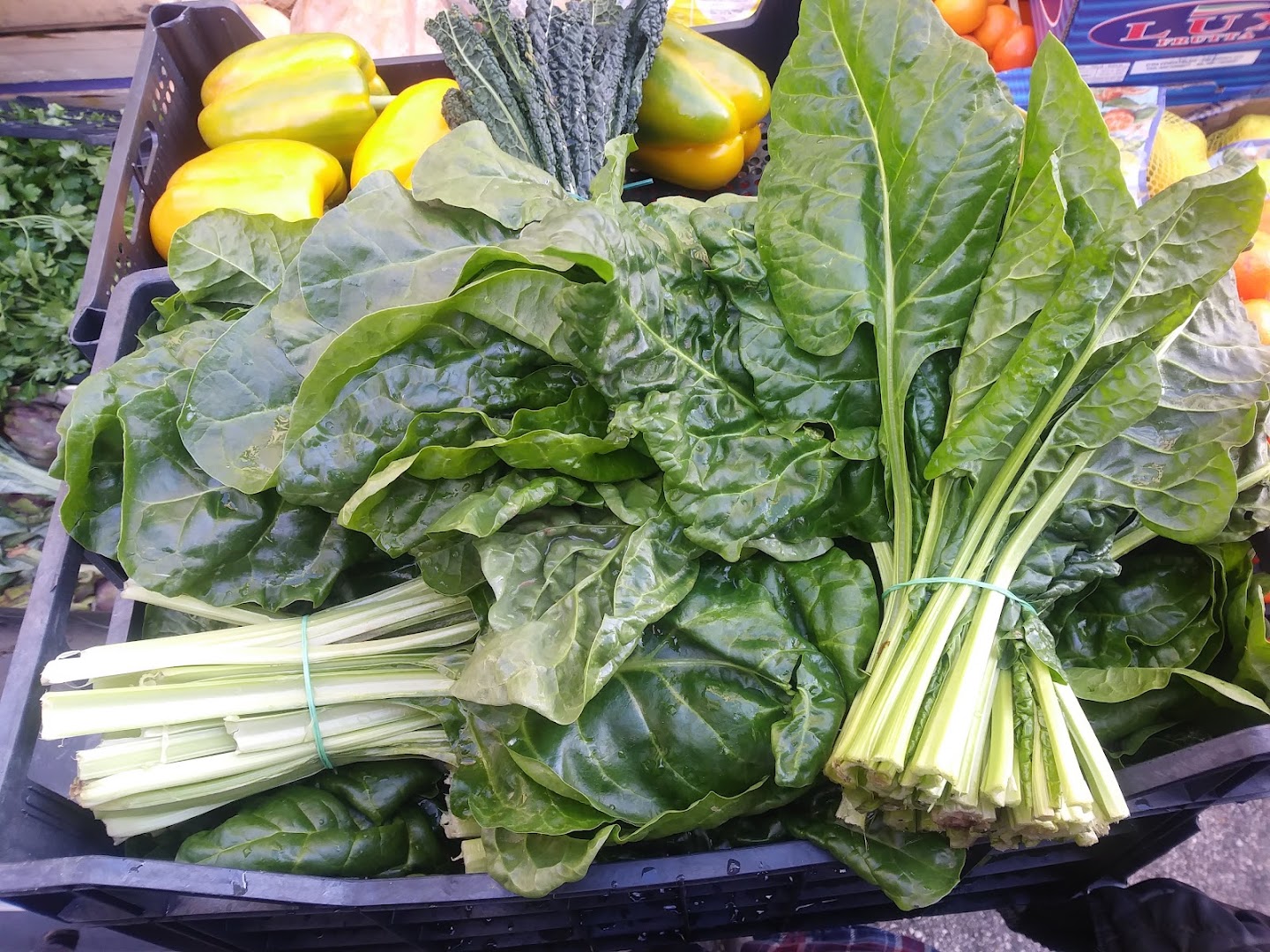 Alimentari al Bottegone di Franco E Pupa