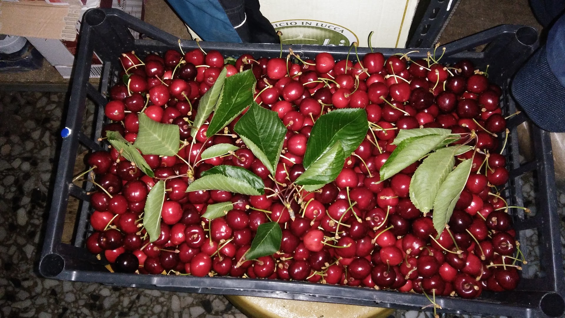 Alimentari al Bottegone di Franco E Pupa
