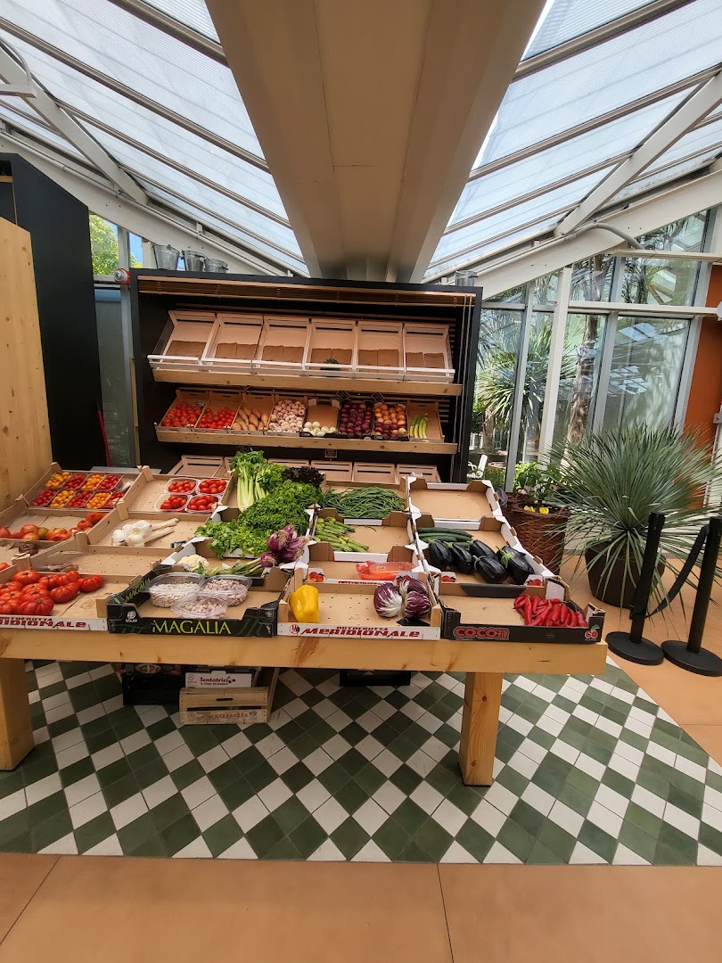 All Day Garden - Naturart Village