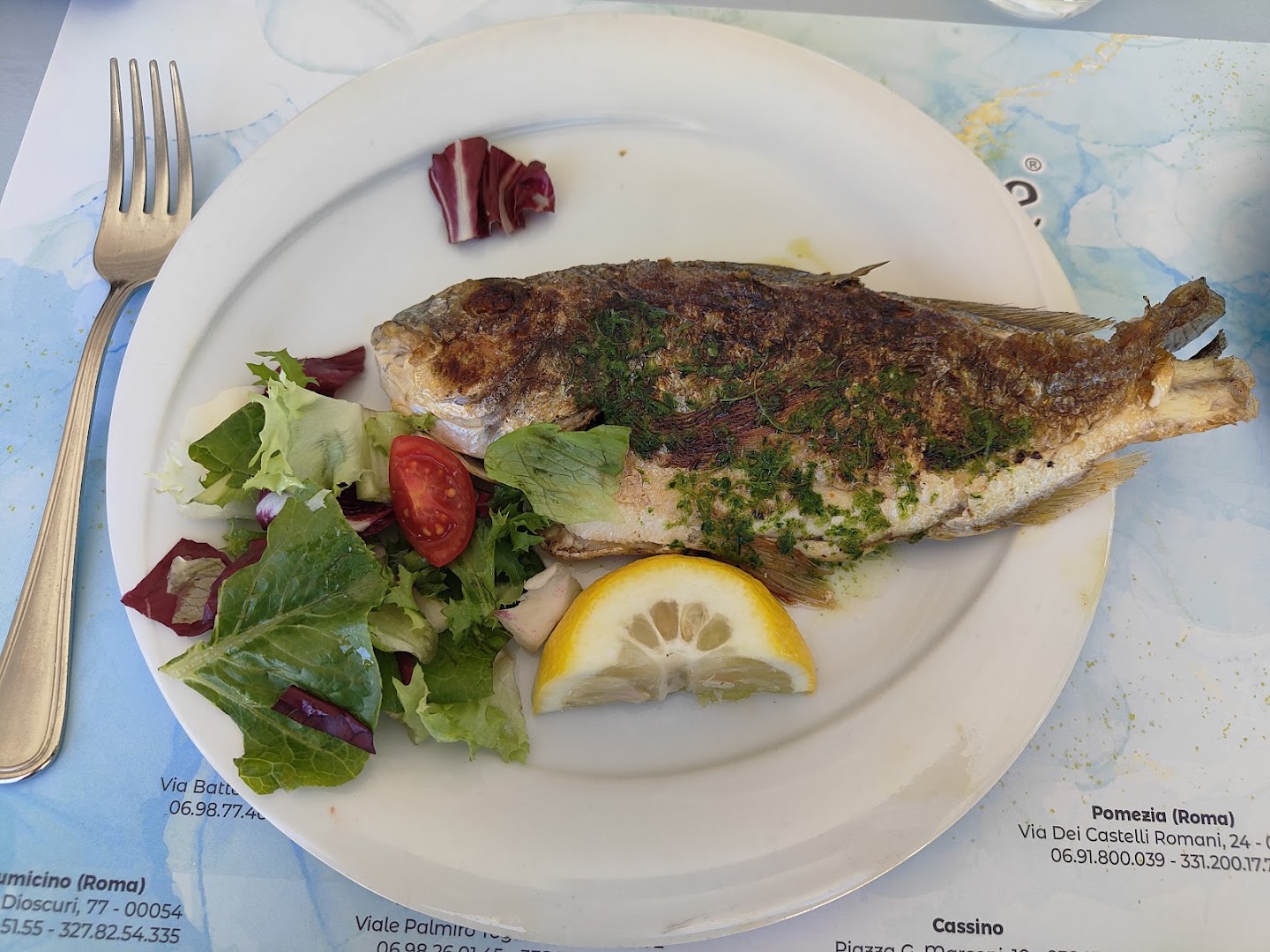 All inclusive fish Anzio