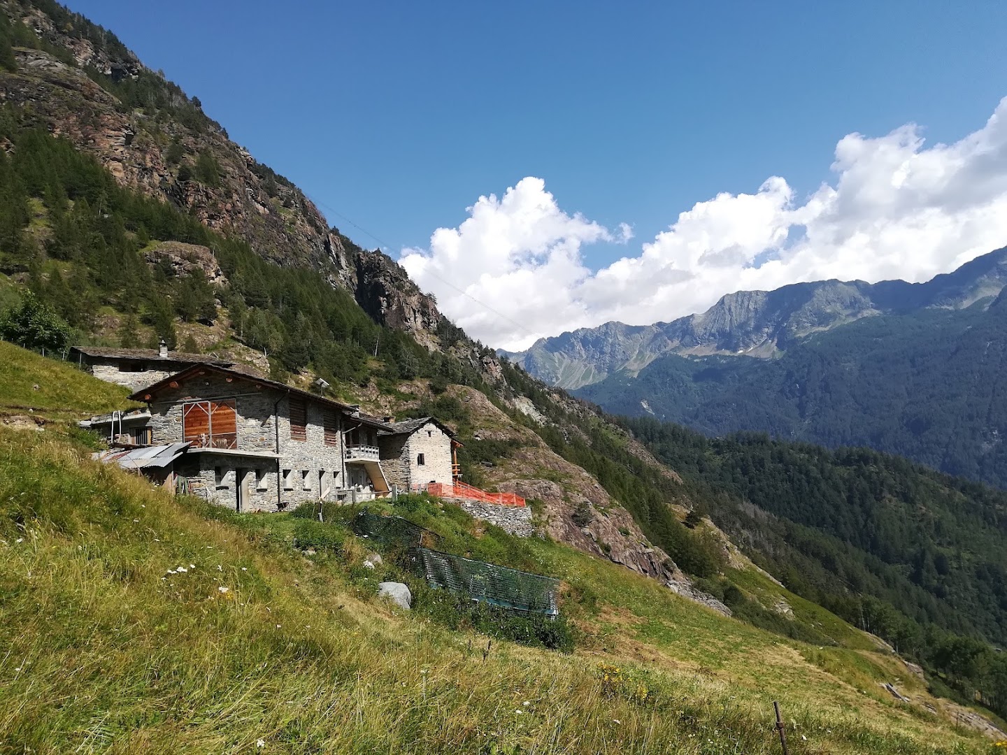 Alpe Albareda Superiore
