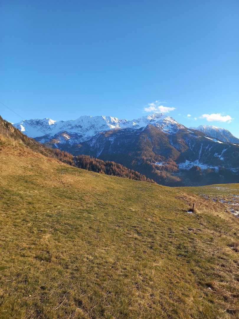 Alpe Albareda Superiore