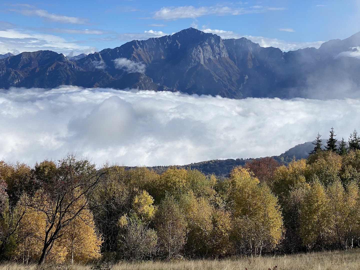 Alpe Spessola, Barni