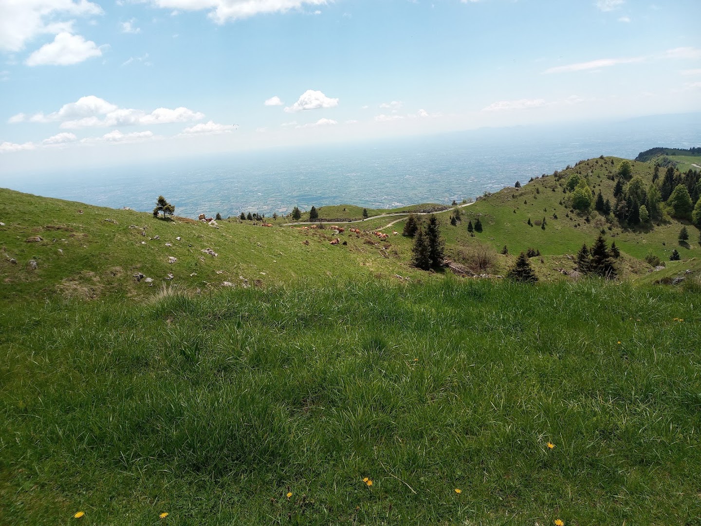 Alpenwind