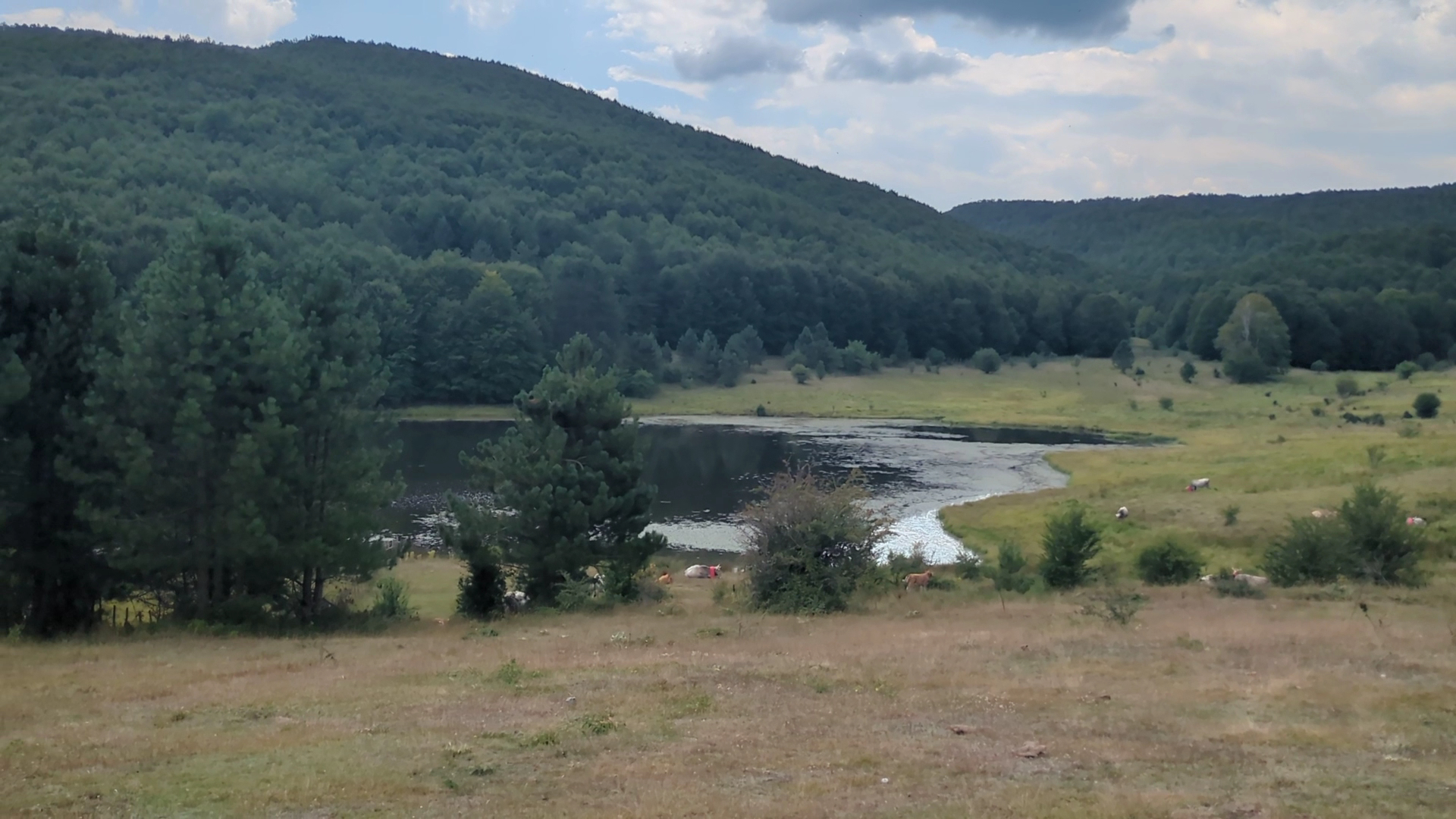 Alta Valle Del Tacina, Taverna
