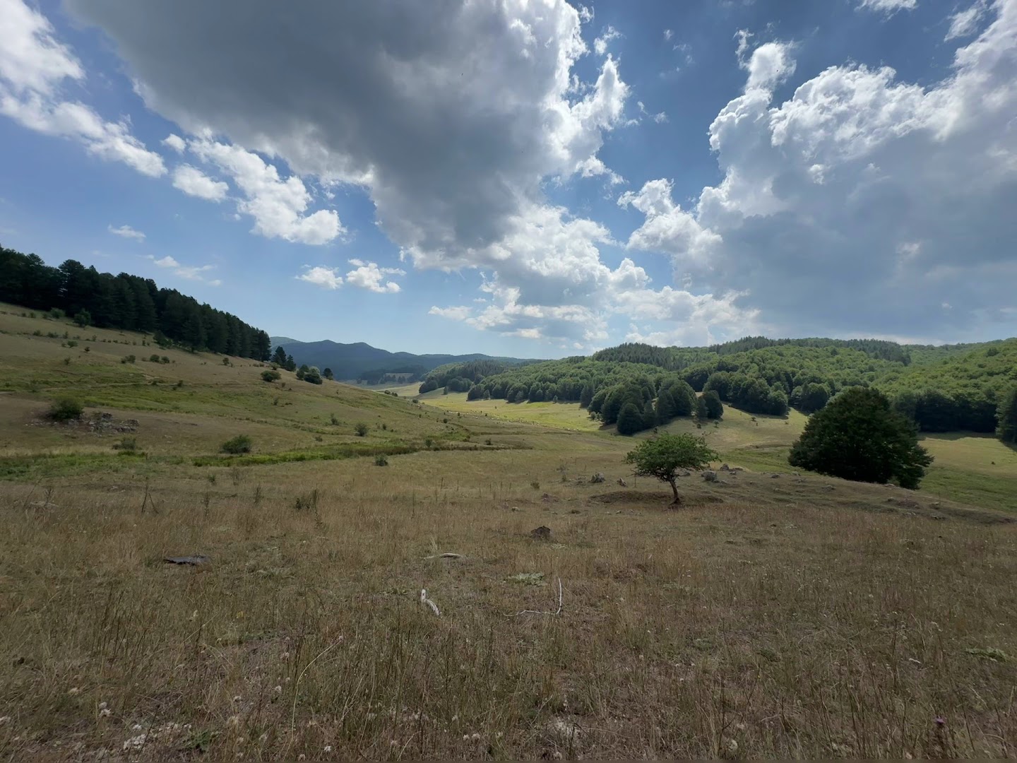 Alta Valle Del Tacina