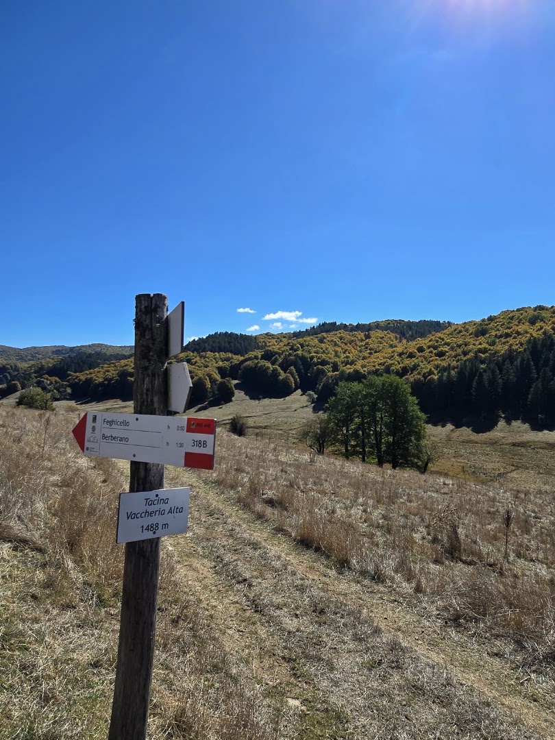 Alta Valle Del Tacina
