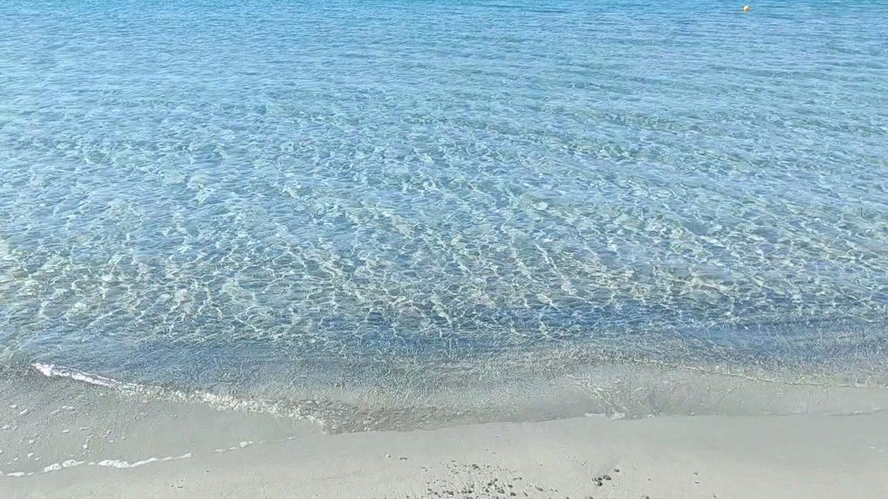 ALTAMAREA Lido Torrazza