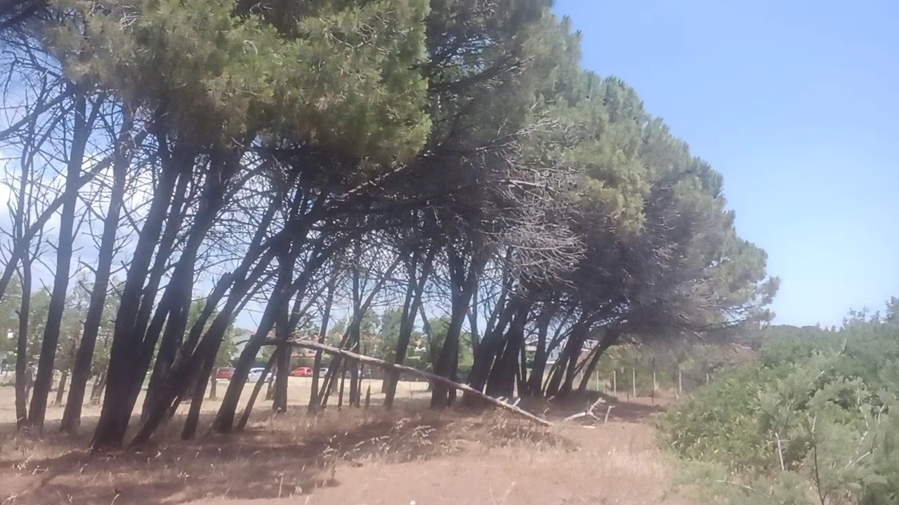 Altamarea Stabilimento Balneare, Sellia Marina