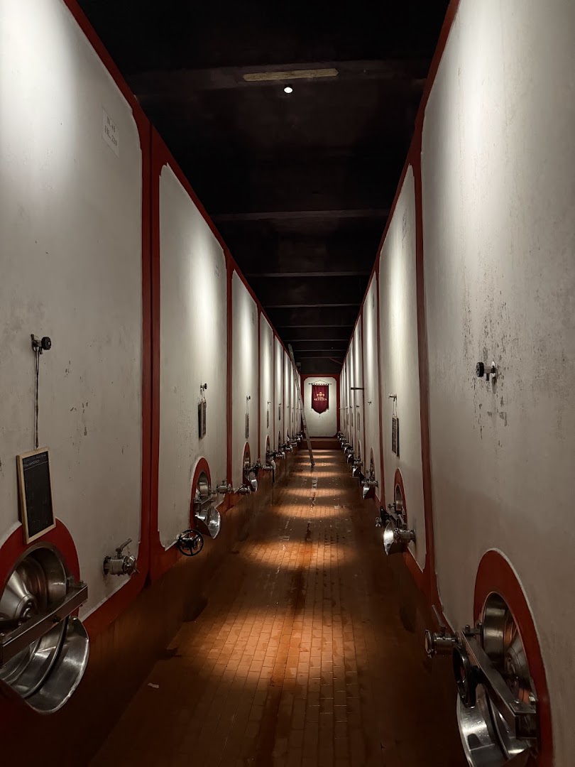 Altezza Winery
