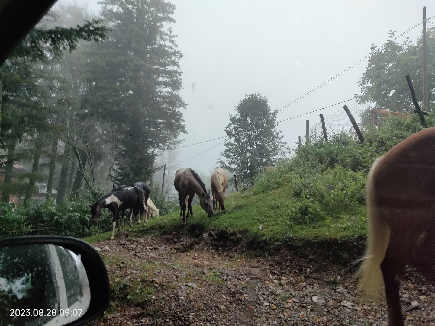 Alto Matanna, Stazzema