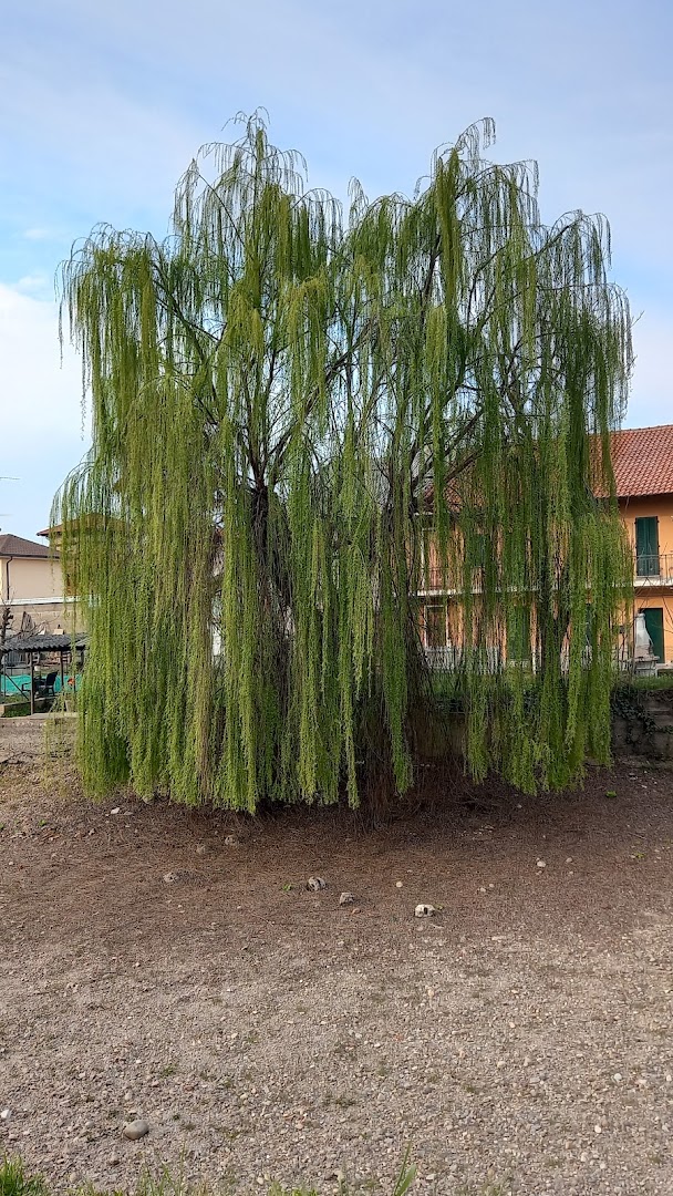 Alzaia del Naviglio Grande