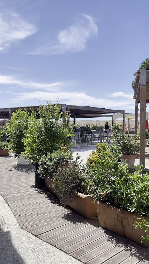 Amarea Spiaggia Stabilimento Balneare