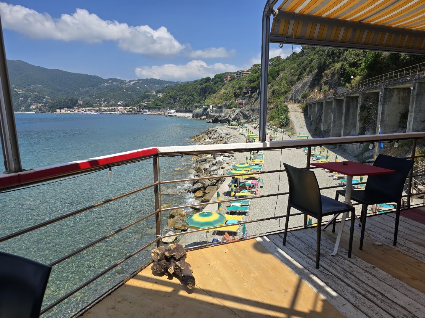 Amaremoneglia