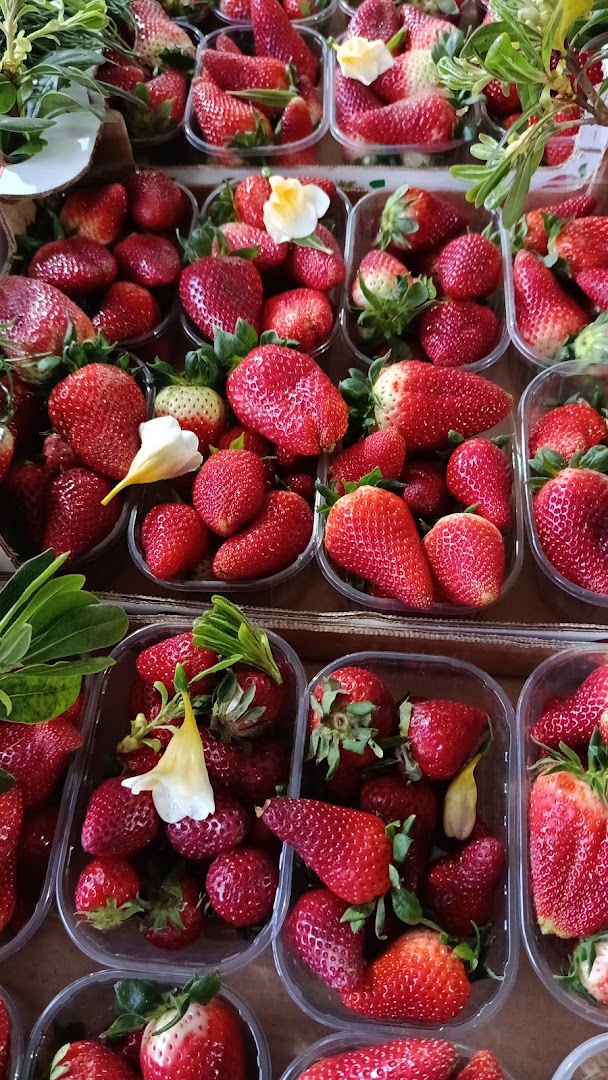 Amedeo Il Principe Della Frutta