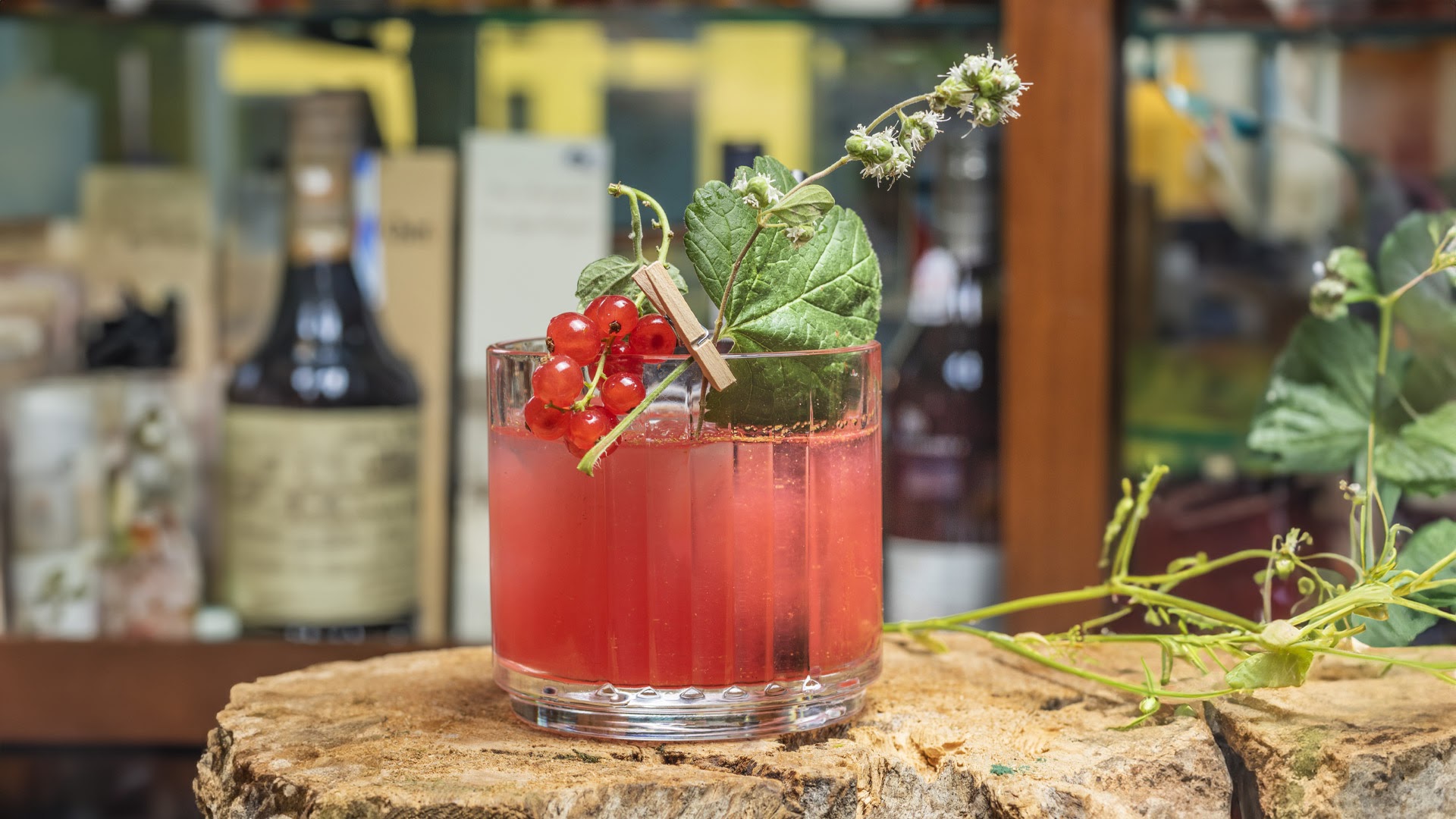 American Bar Coppo, Sirolo