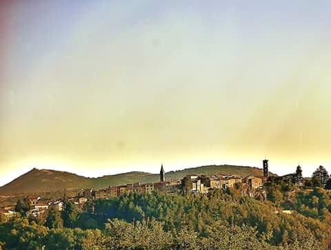 Amiata Café