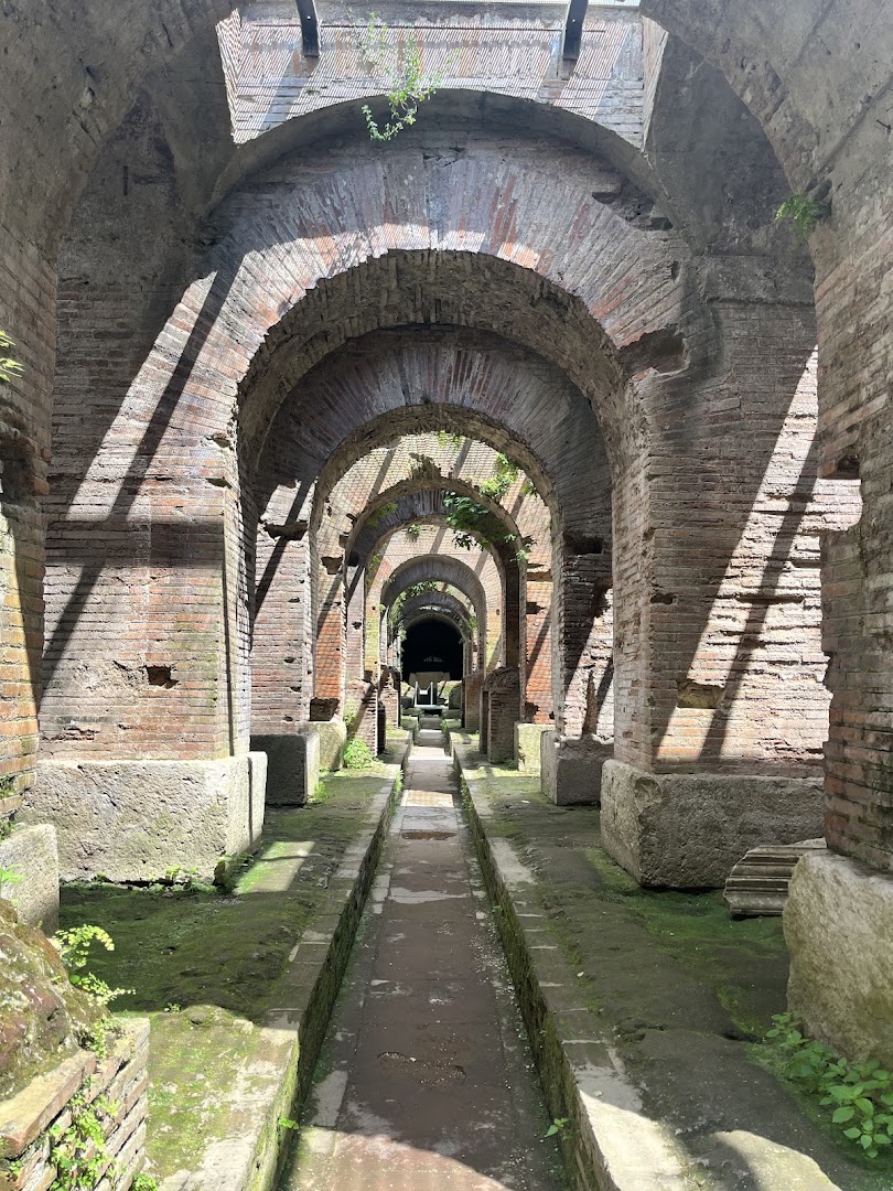 Amico Bio Spartacus Arena
