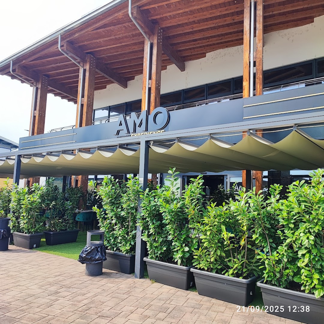Amo Sushi Savigliano | Ristorante di Sushi Savigliano