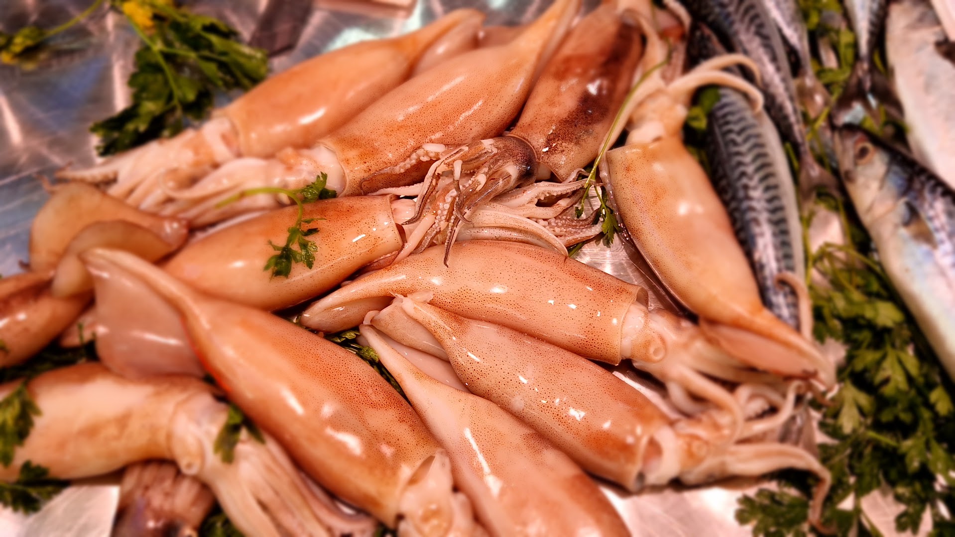 Angelo Ingrassia Chef & Travel Sicily