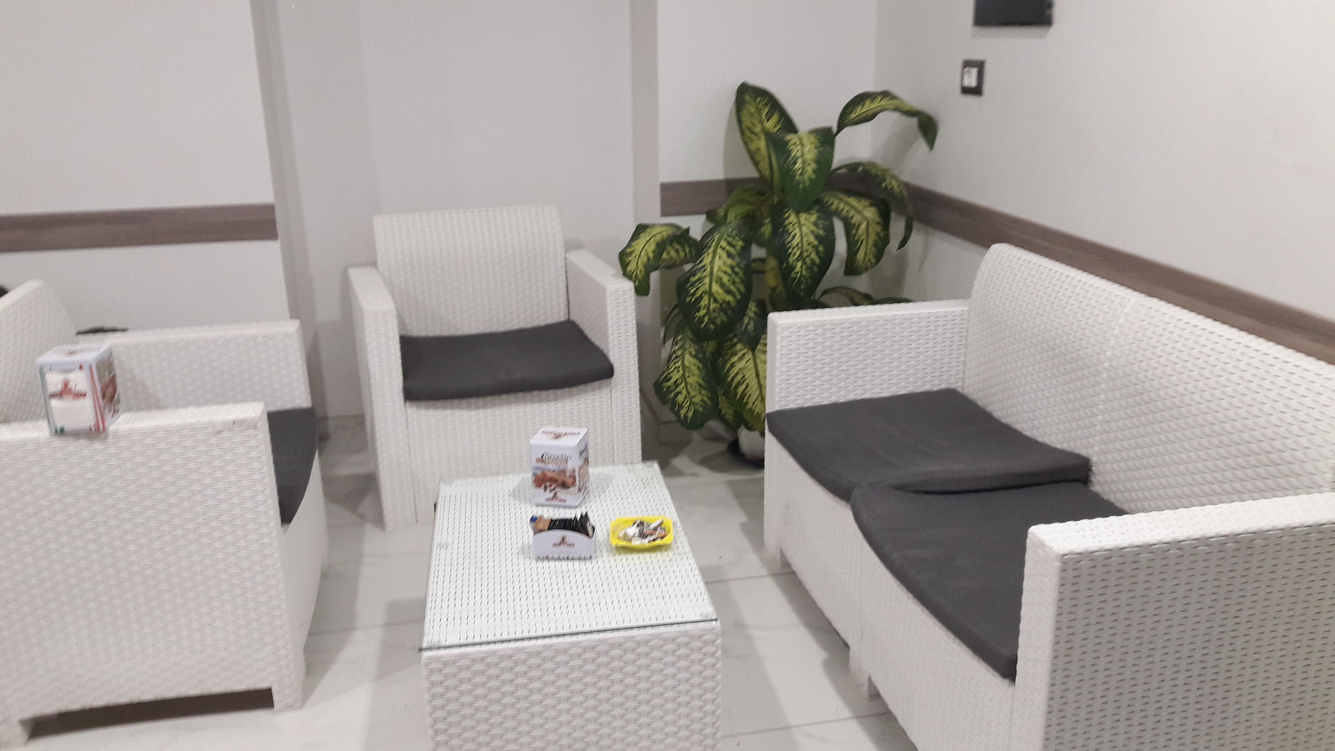 Angy Bar PLOOM RESELLER
