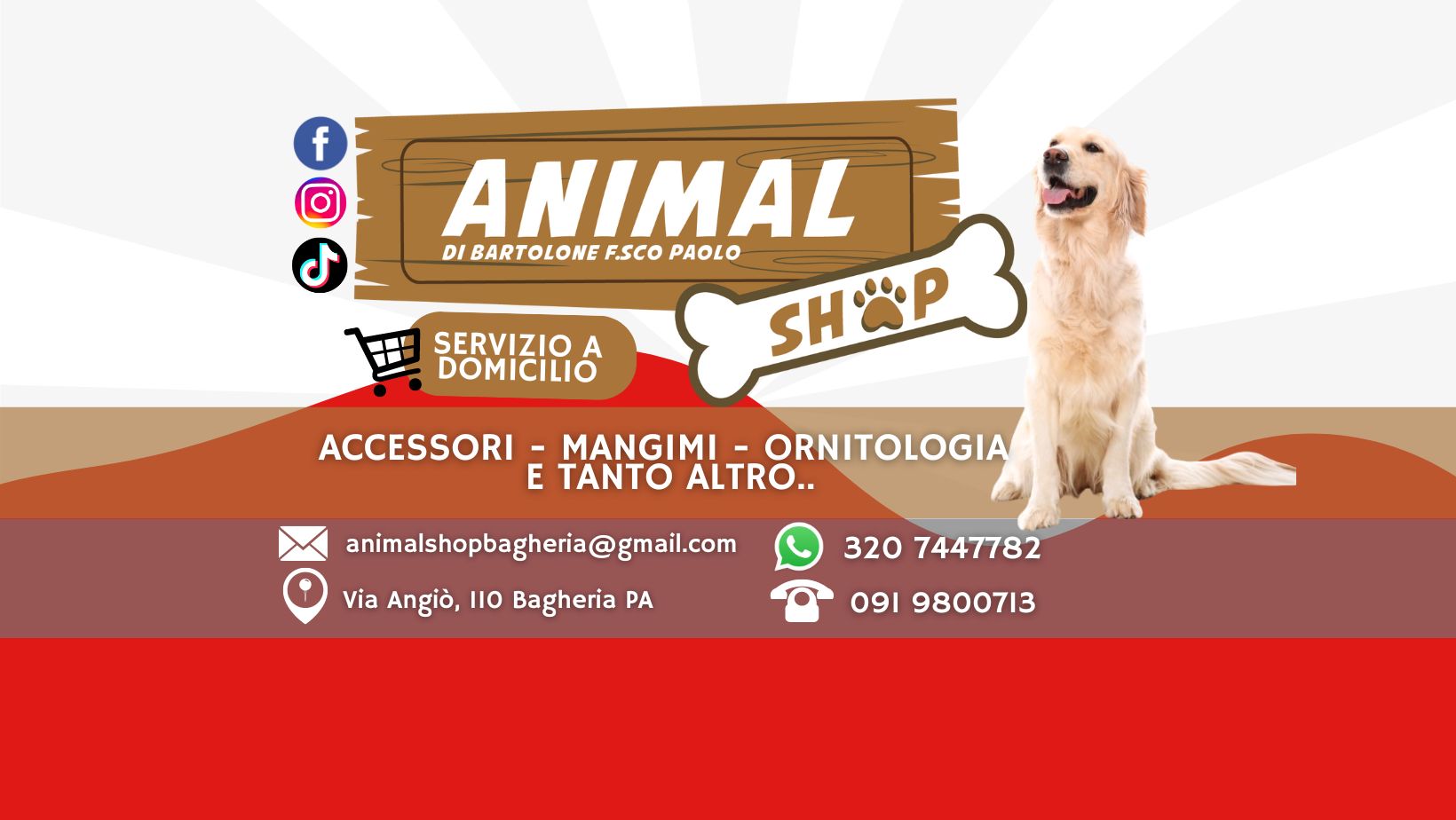Animal Shop Di Bartolone Francesco Paolo