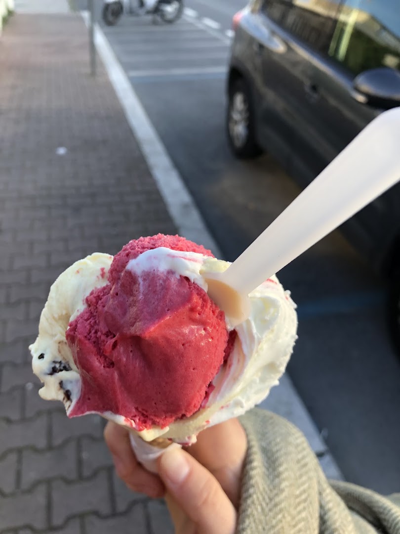 Anisare, Viareggio