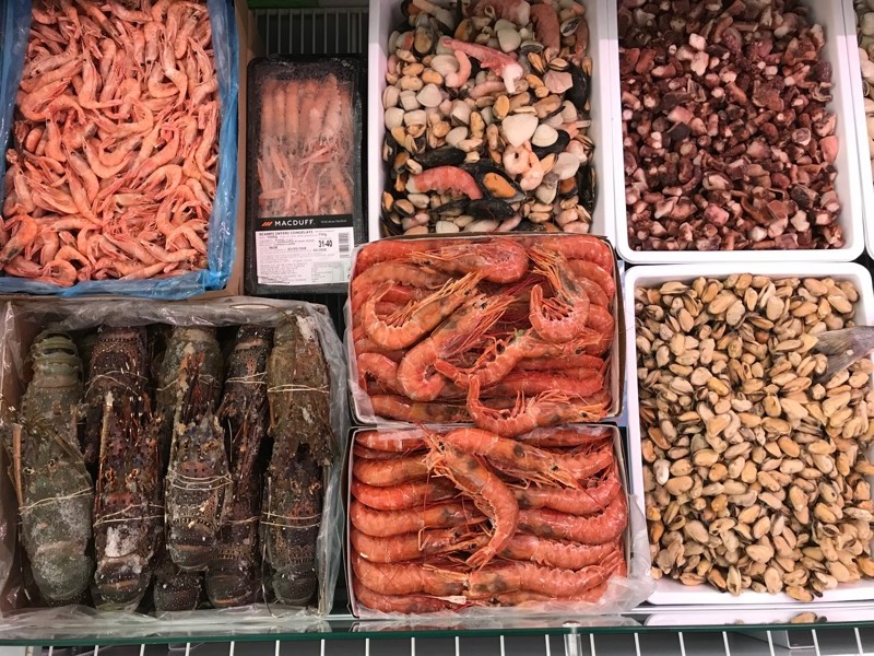 Antartide Surgelati, Sassari