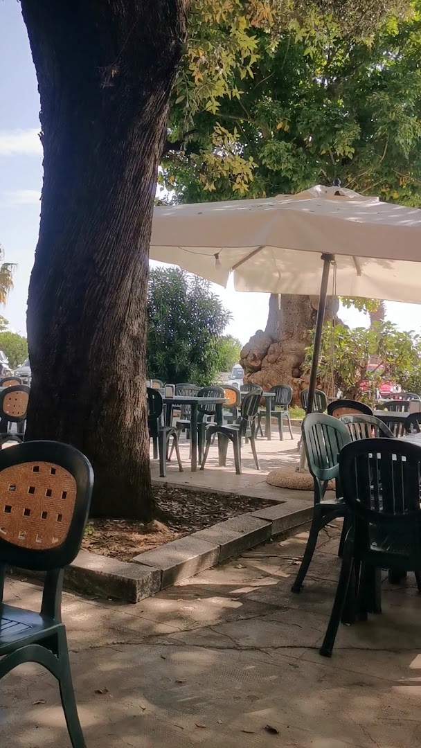 Antica Gelateria Patricola