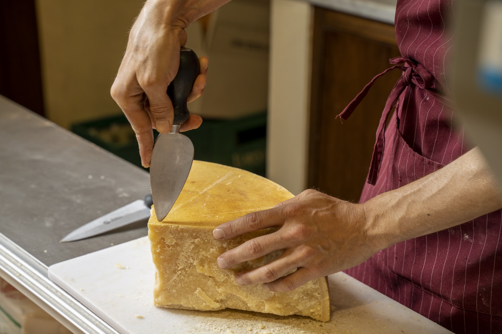 Antica Salumeria Giorgio Pancaldi