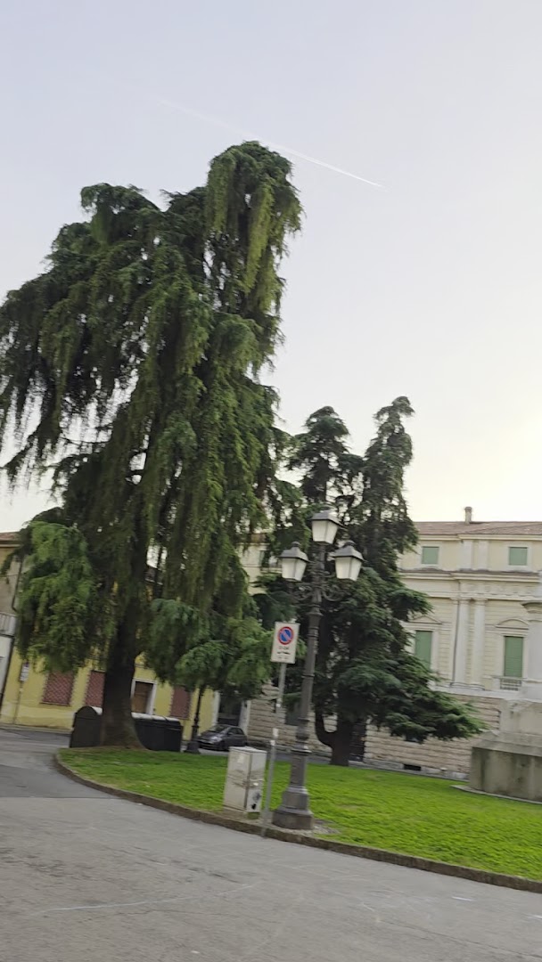 Antico Caffe' Scrigni Sas