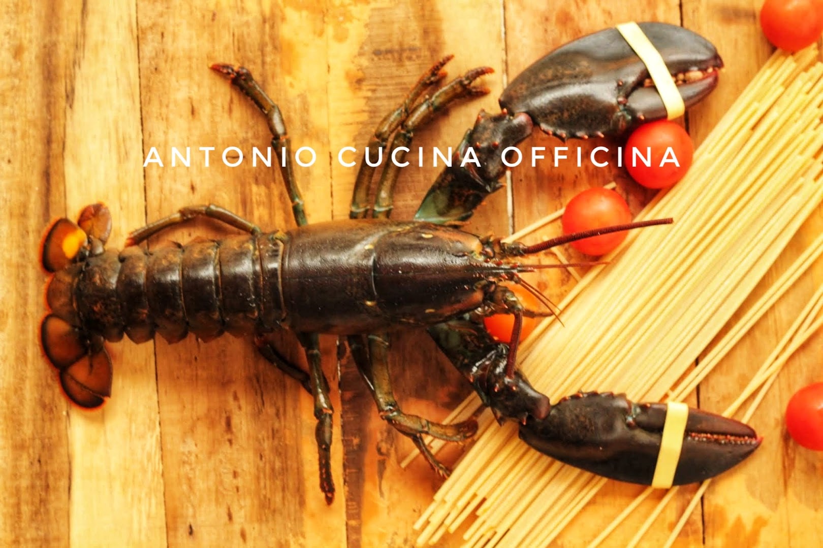 Antonio cucina officina
