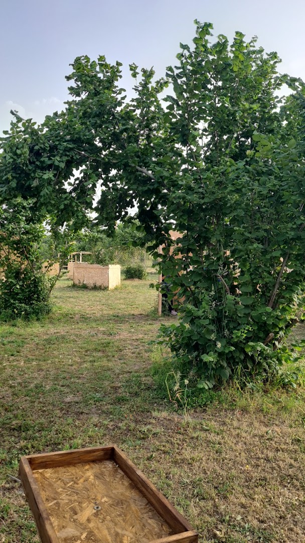 Smash Arena - Paintball Roma Cassia