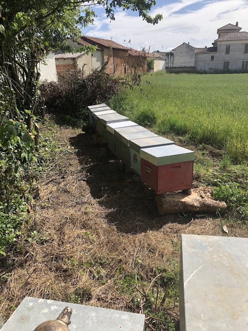Apicoltura Scagliotti