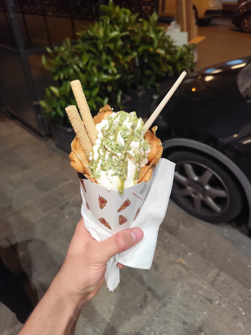Ara Macao Savona