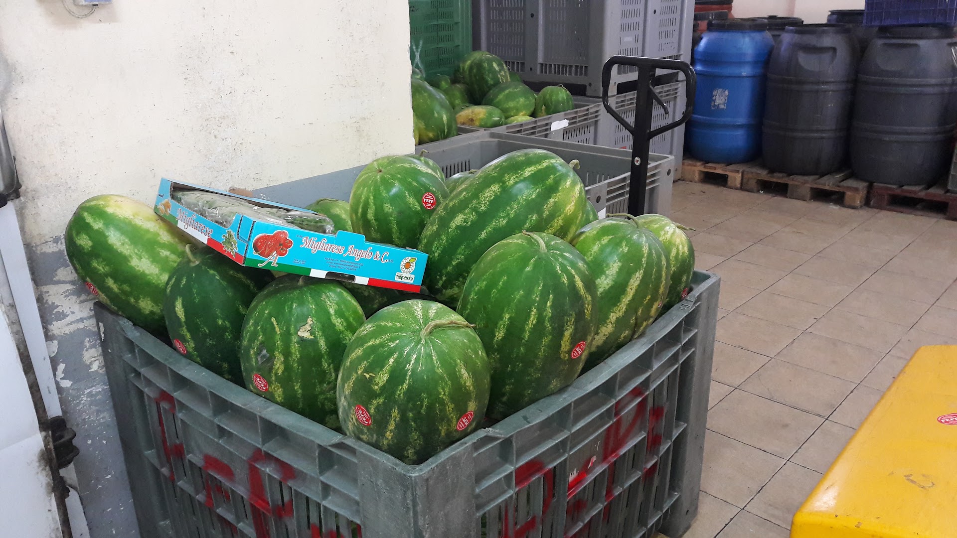 ARAN FRUIT