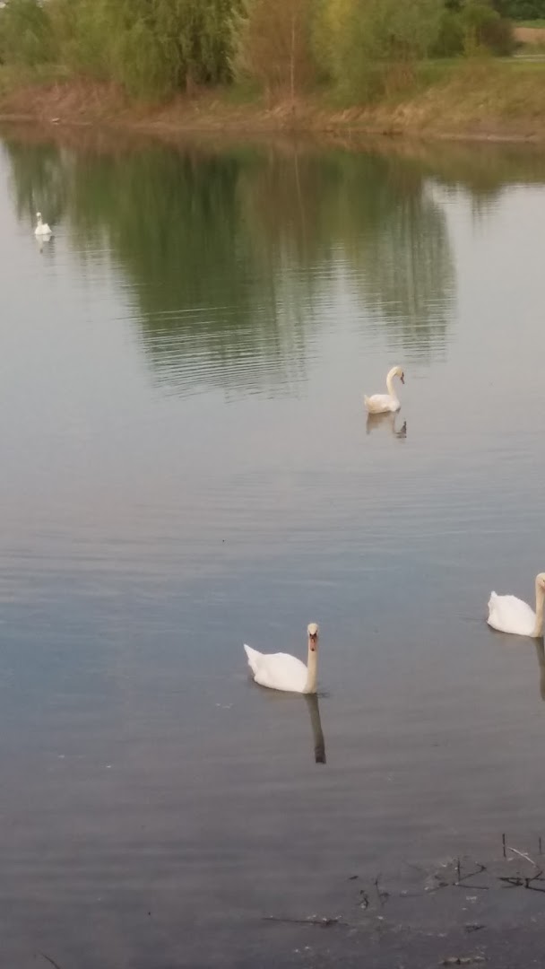 Arci Laghi Margonara
