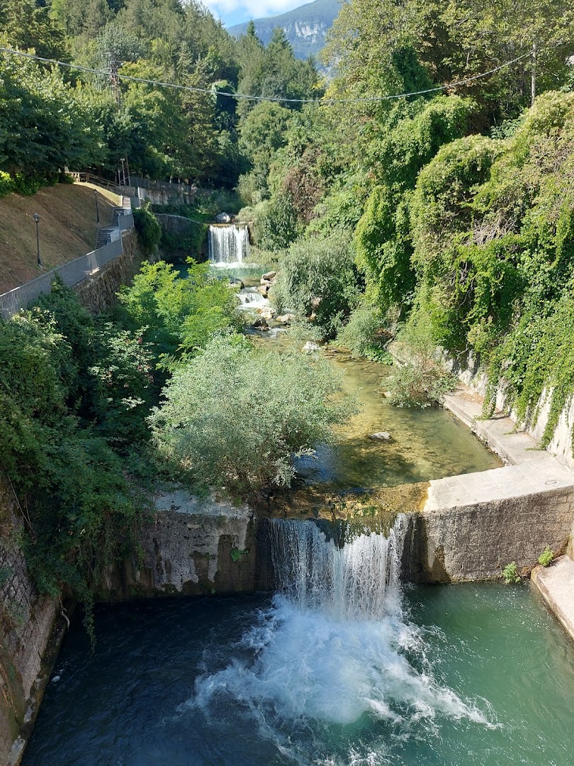 Area Faunistica dell'Orso Bruno