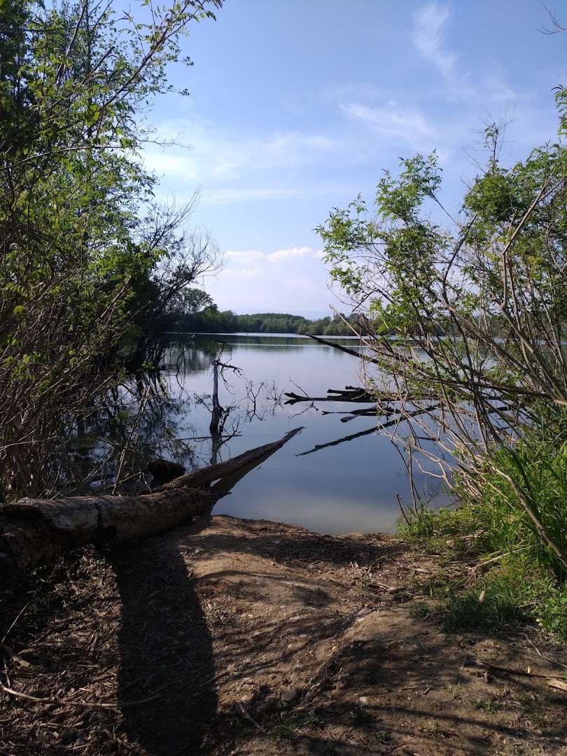 Area Naturalistica di Piazzola sul Brenta, Piazzola sul Brenta