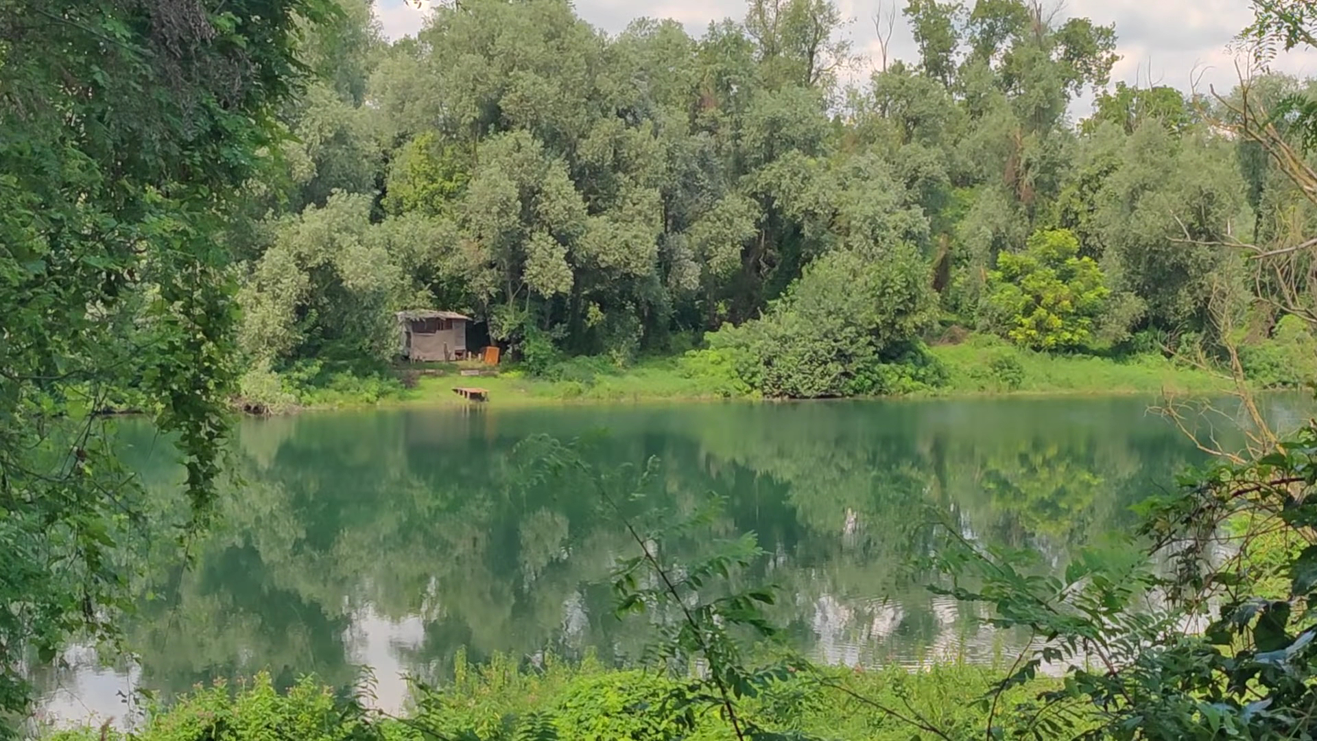 Area Naturalistica di Piazzola sul Brenta