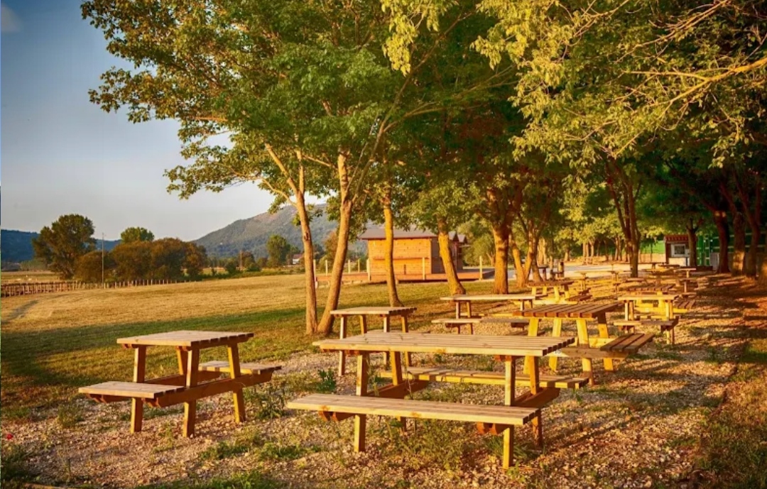 Area Pic Nic - La Valle Del Drago