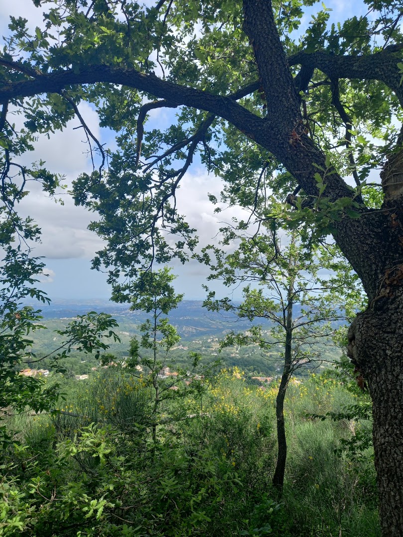 Area Pic-nic Montepiano