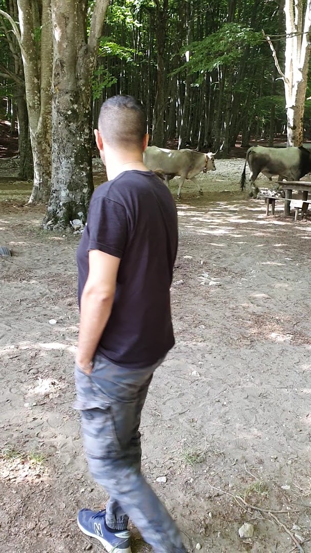 Area pic-nic Piana dell'Isca